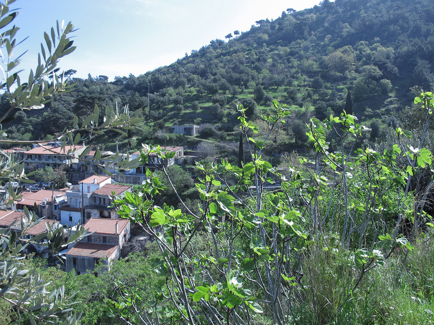 Lardatos village in Chios