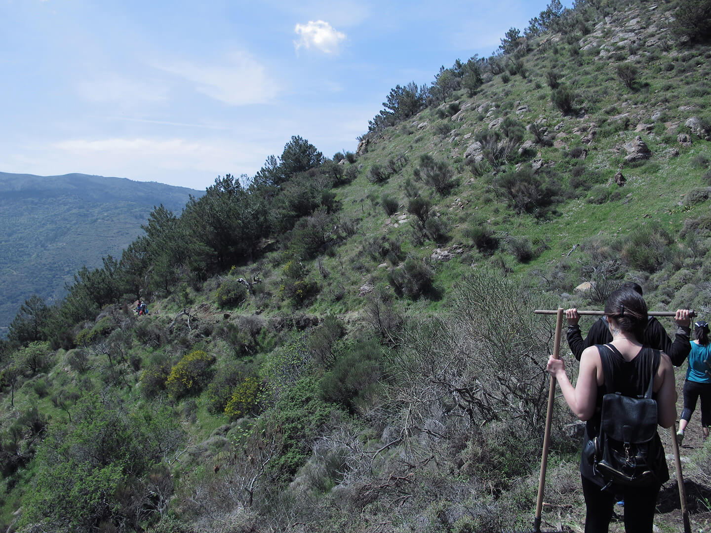 Hiking in Lardatos, in Chios