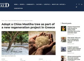 Mastiha tree as part of a new regeneration project
