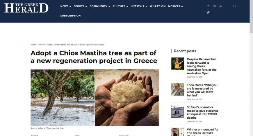 Mastiha tree as part of a new regeneration project